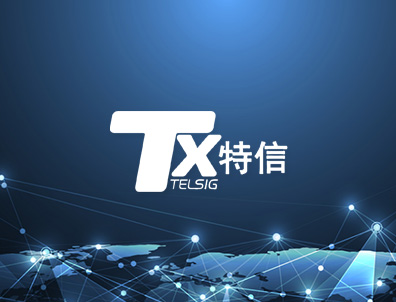 特信电子seo网站关键词优化