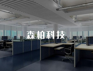 森柏科技营销型网站建设